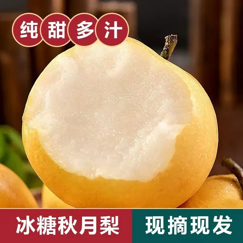 金秋十月  新疆冰糖秋月梨上市啦   顺丰包邮