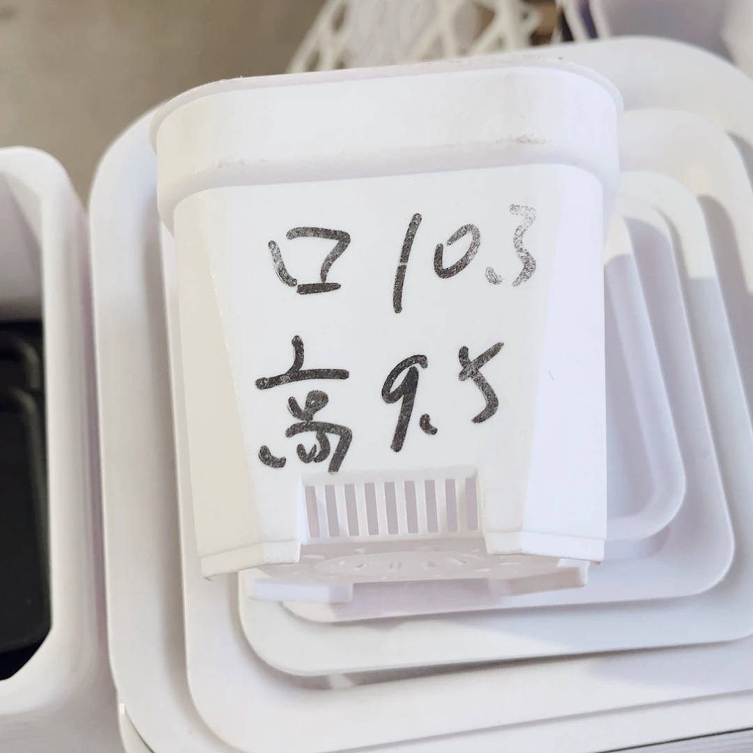 塑料加厚矮胖10方白色盆10个无托
