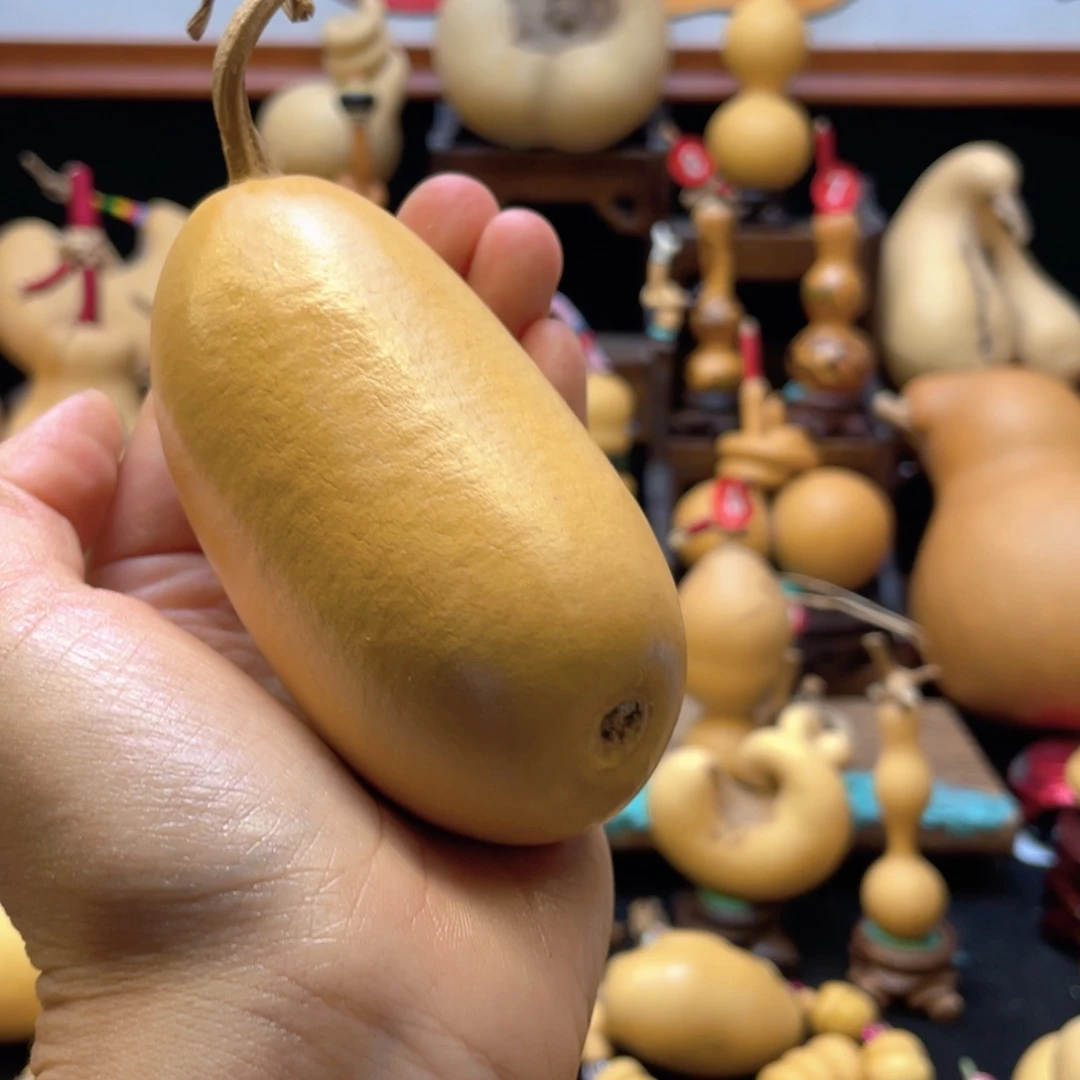 王*爬大自然的秘密是什么呢我