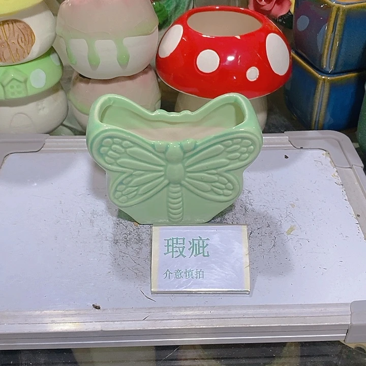 摆件多肉瑕疵盆有孔。