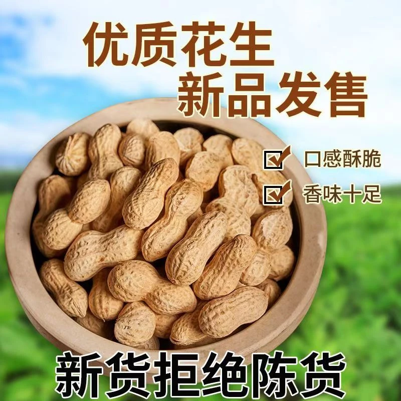 干果农家铁锅炒花生原味新货带壳炒熟花生现炒净重花生米坚果年货