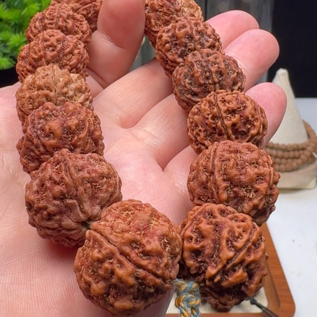 金刚菩提手串蜂窝双龙