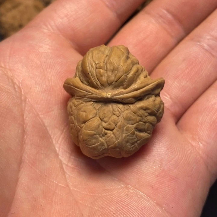 文玩核桃吊坠森***1文玩核桃异形单只