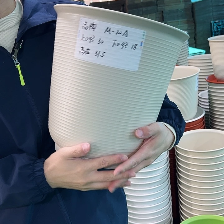 正品高陶口30高31米色无托3只