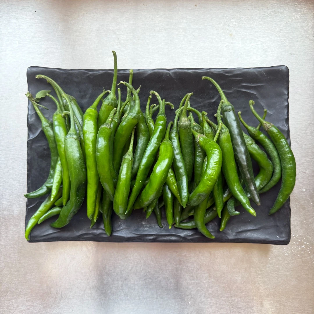 【顺丰包邮】新鲜青阳辣椒韩式烤肉生食辣椒朝鲜族爱吃