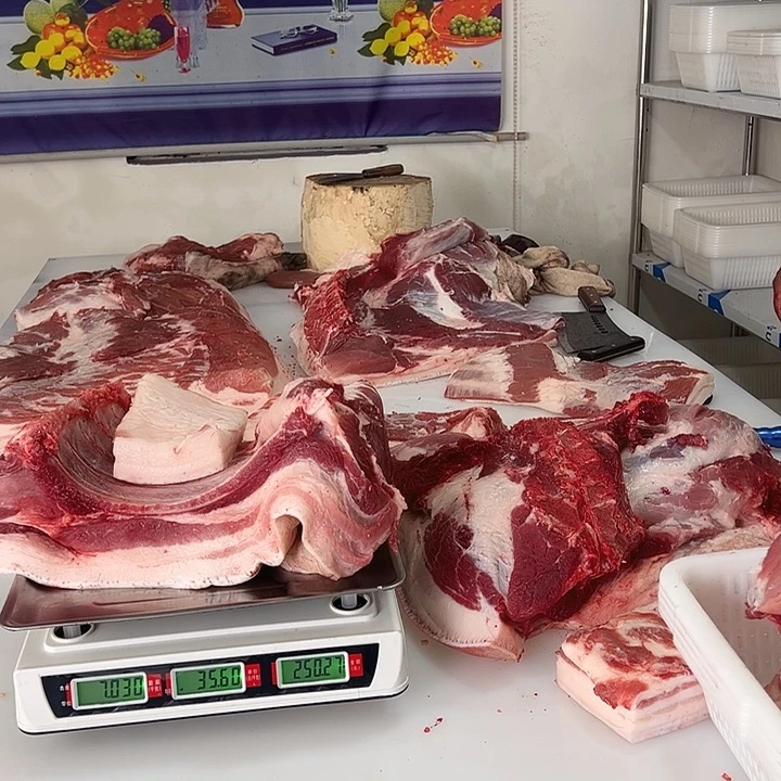 冷冻保存6个月中国大陆包装