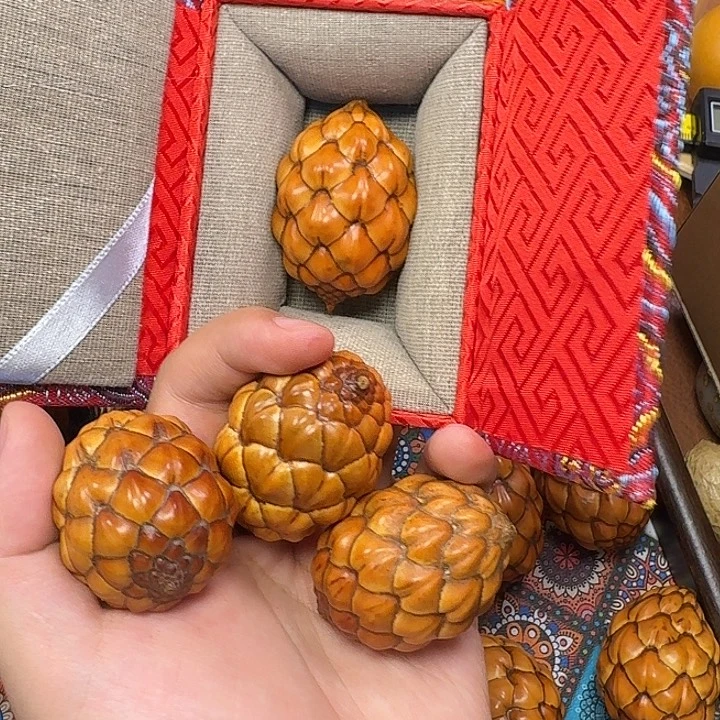 Z***岛木海岛专拍一个修头85米三个瑕疵碎壳