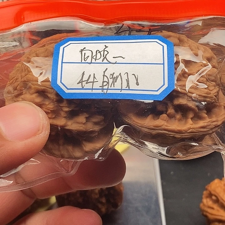 向***‥文玩核桃把件白狮子