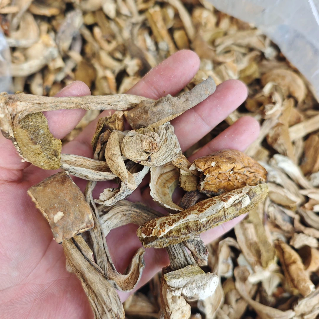 【百村千人】农家代卖白牛肝菌自然晒干 美味白牛肝菌 （焯水30分钟）