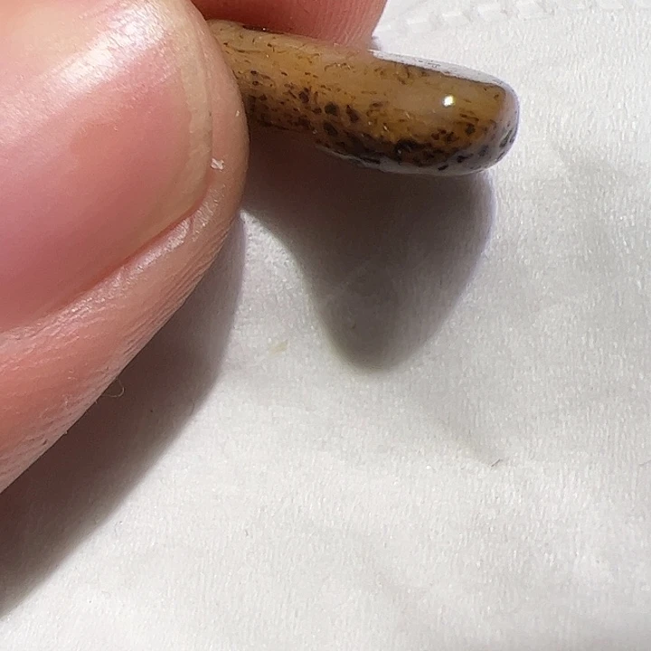 玻璃颈饰你在哪了