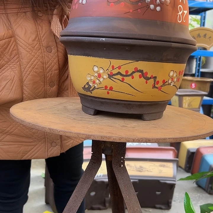 红+黄富贵点菜大花盆花盆