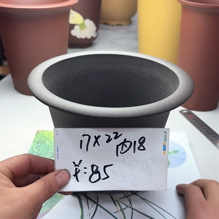 紫砂22222222222222222