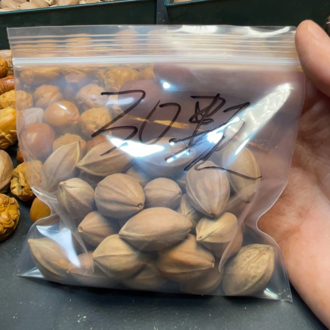 橄榄核手串/手链