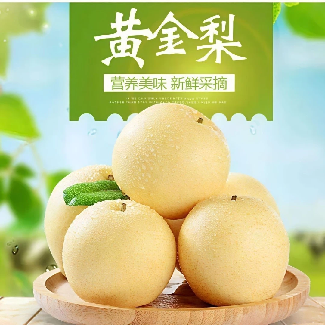 苍溪黄金梨现摘现发当季新鲜水果酥脆多汁果肉鲜嫩
