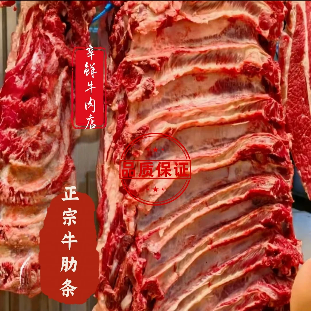 辛鲜牛肉店新鲜草饲牛肋条适合红烧清炖烧烤烤肉的黄牛肉