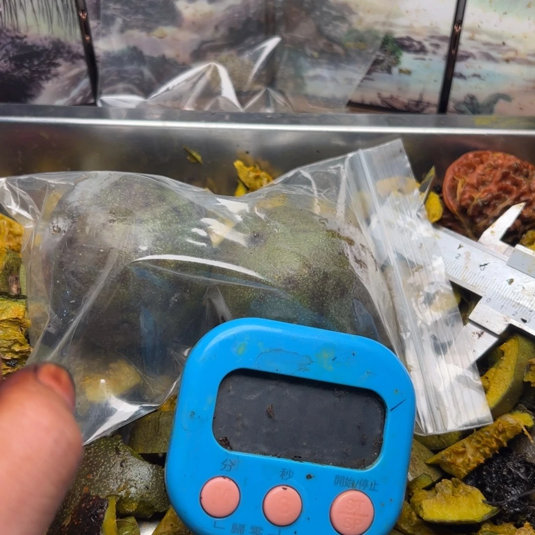 小***雷符合不能叫你姐姐家哭就哭