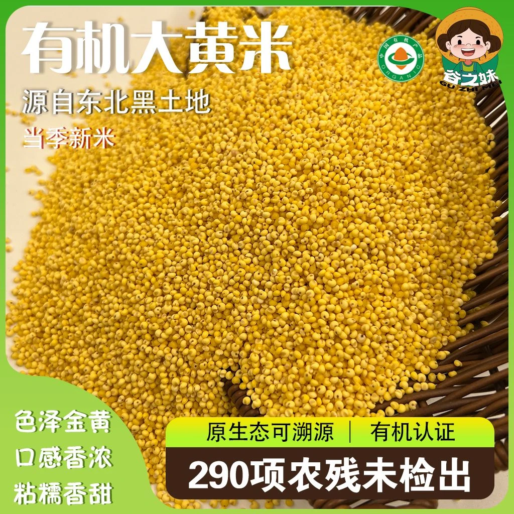 东北有机大黄米 谷之妹有机大黄米 真空包装500g*3袋