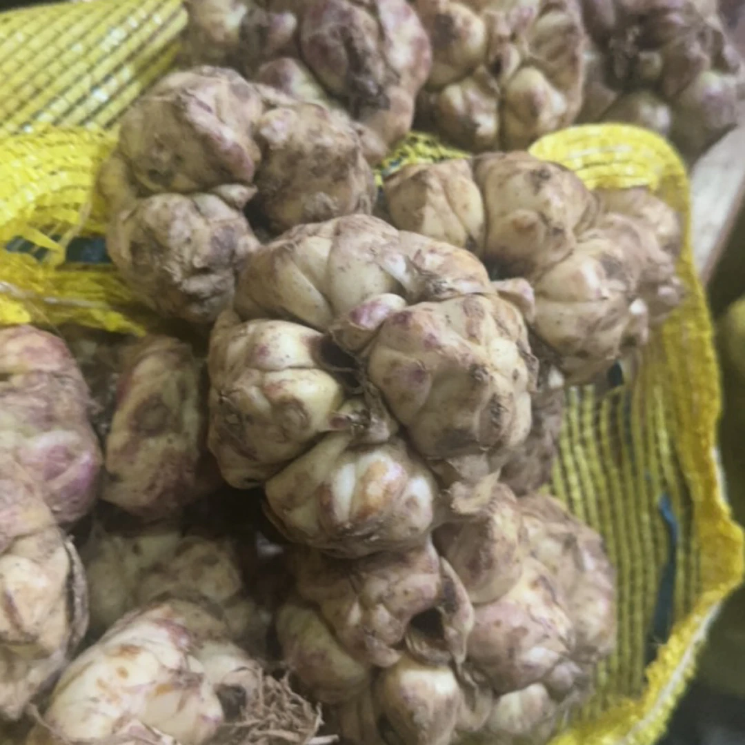 种植于湖北恩施的高山卷丹百合，没有进冻库冷藏过，适合做种球
