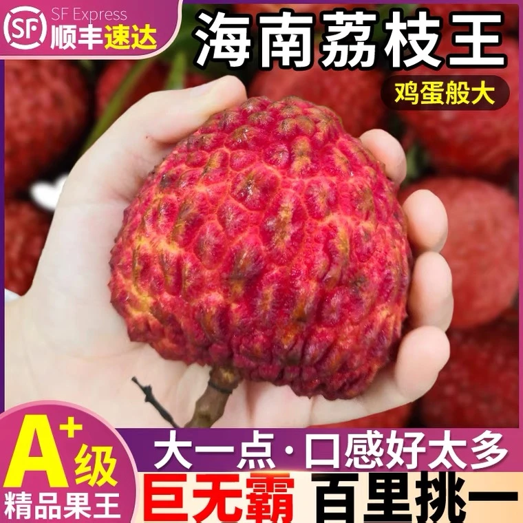 【火山农夫】火山荔枝王超大特大现摘现发新鲜当季水果超大荔枝