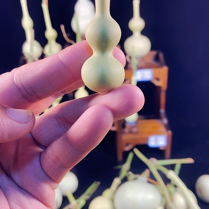 文玩葫芦八宝葫芦