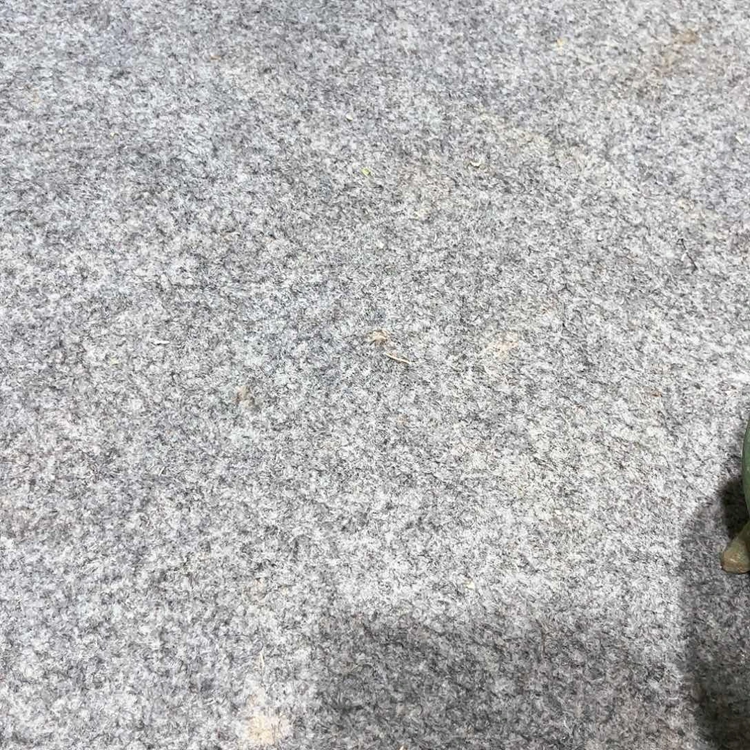 瓦当摆件瓦当我去忍*
