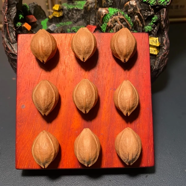 20/27 橄榄核铁核素串