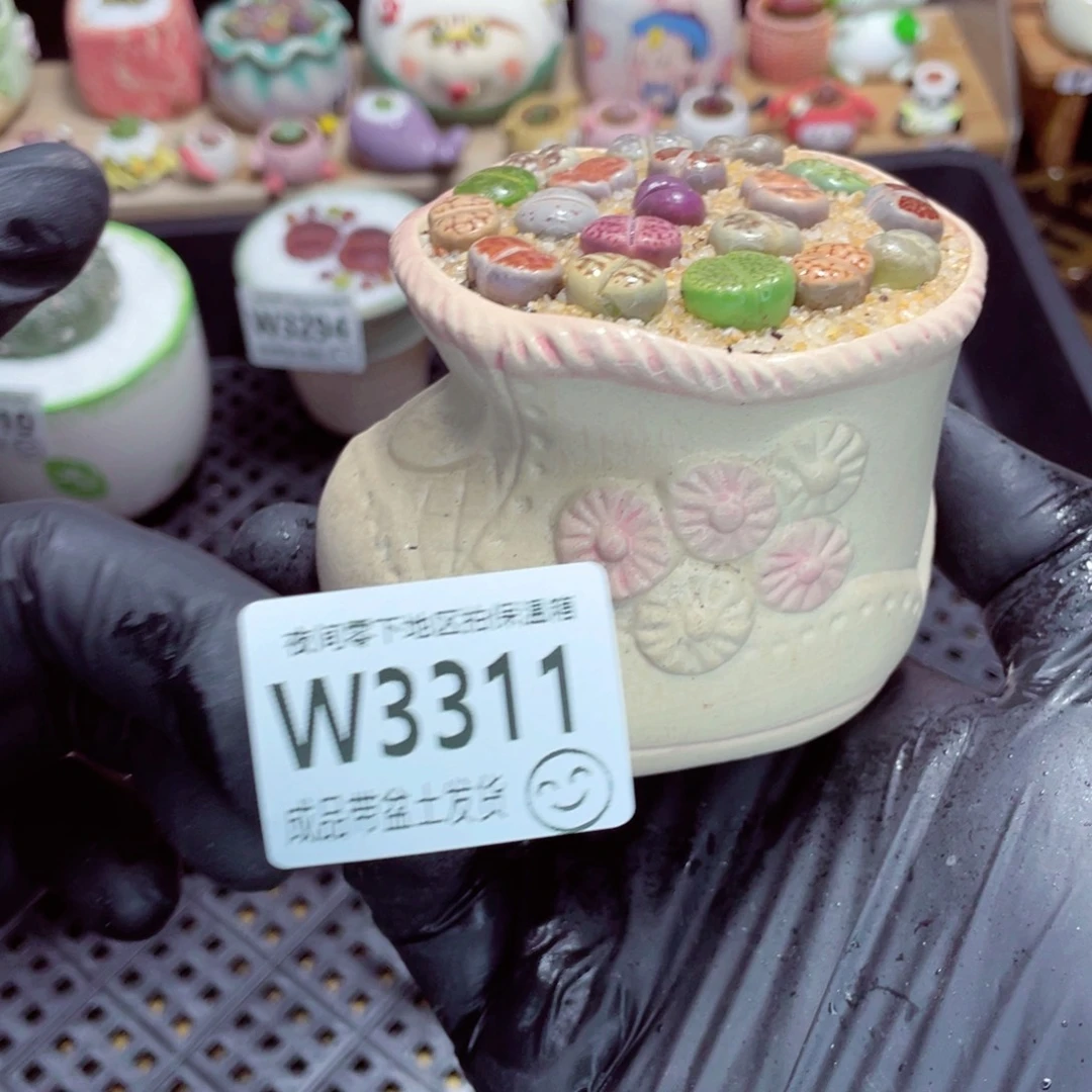 夜间零下地区拍保温箱w3311