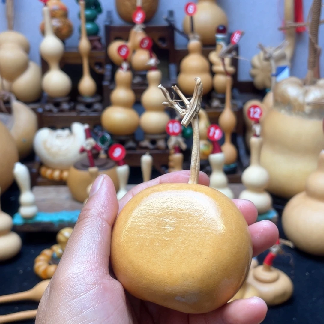 茄*茄大自然的秘密是什么呢这