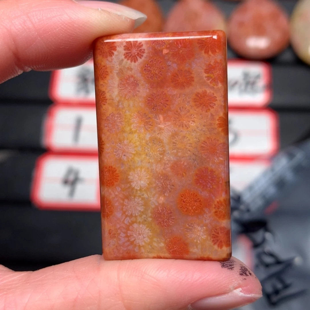 【闪购商品】硅化玉颈饰未镶嵌用****0