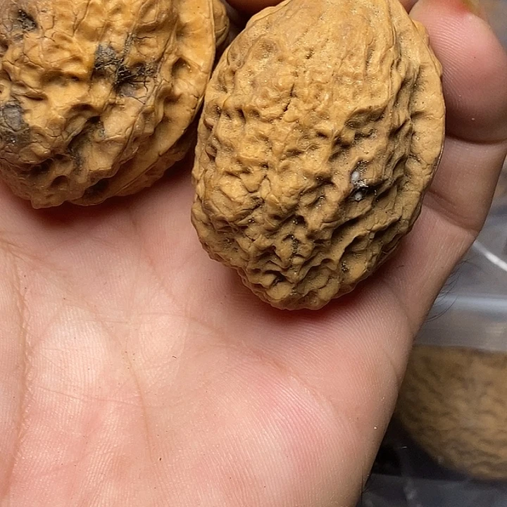 文玩核桃把件云南铁核桃64