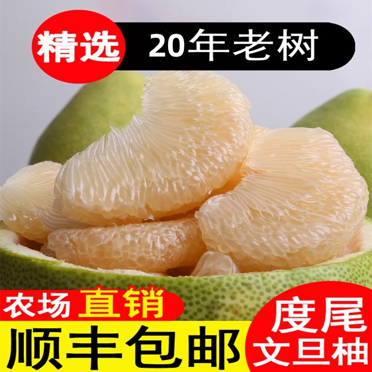 【礼品盒精品果】福建度尾文旦柚红柚新鲜应季孕妇水果酸甜多汁