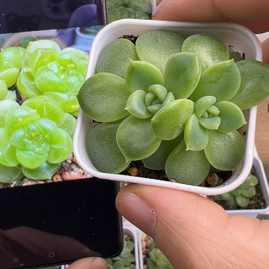 暴富财富密码。
