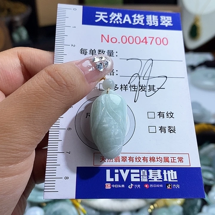 翡翠未镶嵌颈饰4700