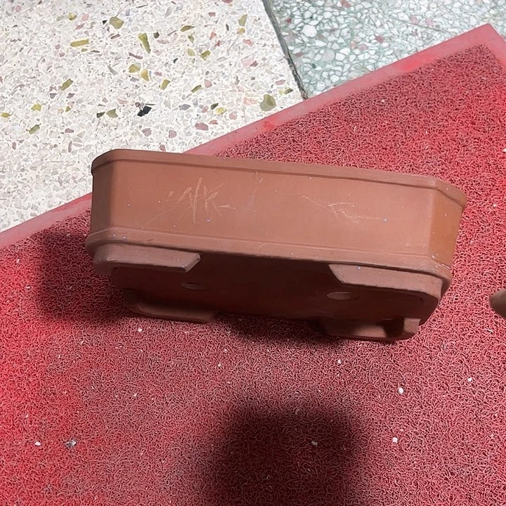 红陶描*。。。。。。。。。。。。