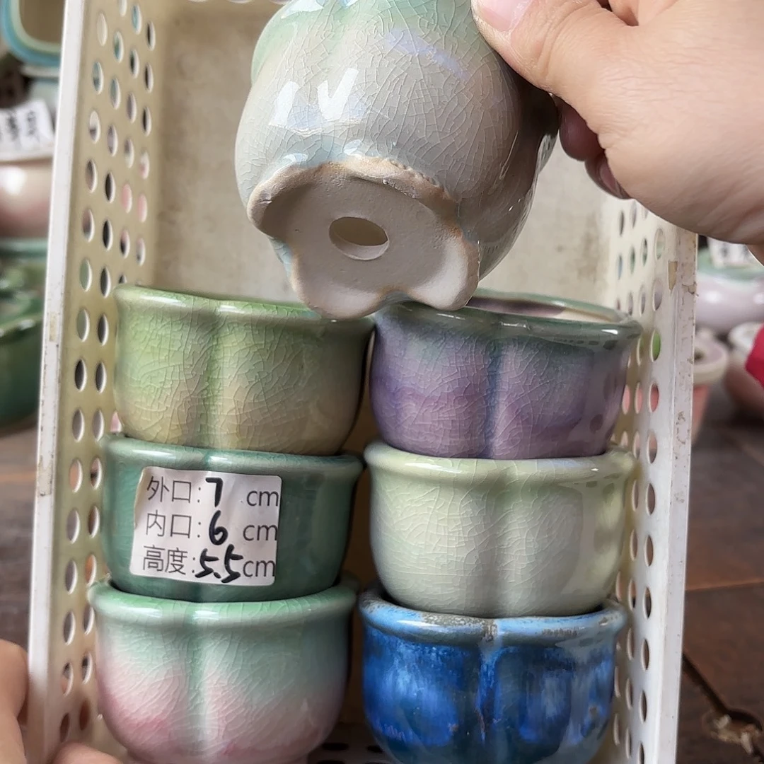 量货/6口高5.5 深浅搭配发6