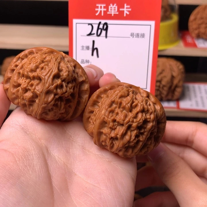 核桃41白狮子269号