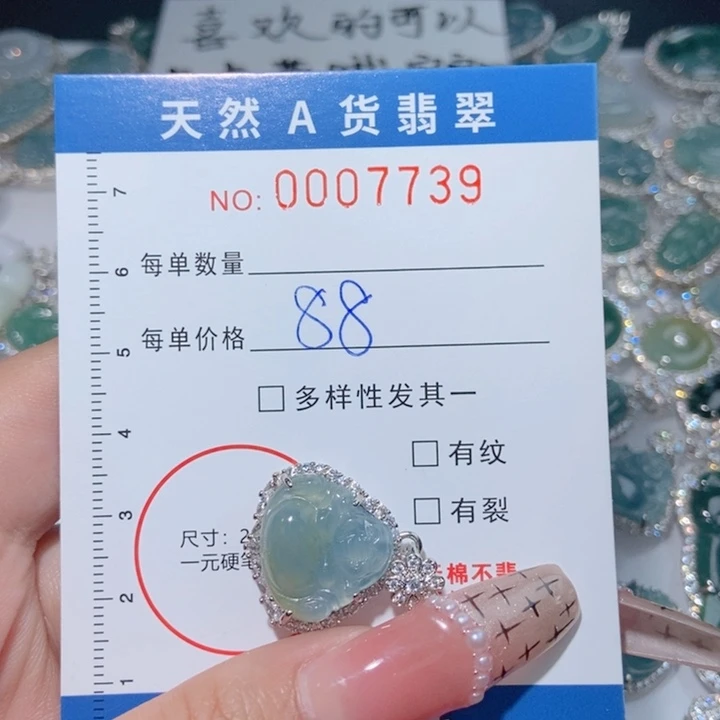 翡翠颈饰未镶嵌翡翠1111111