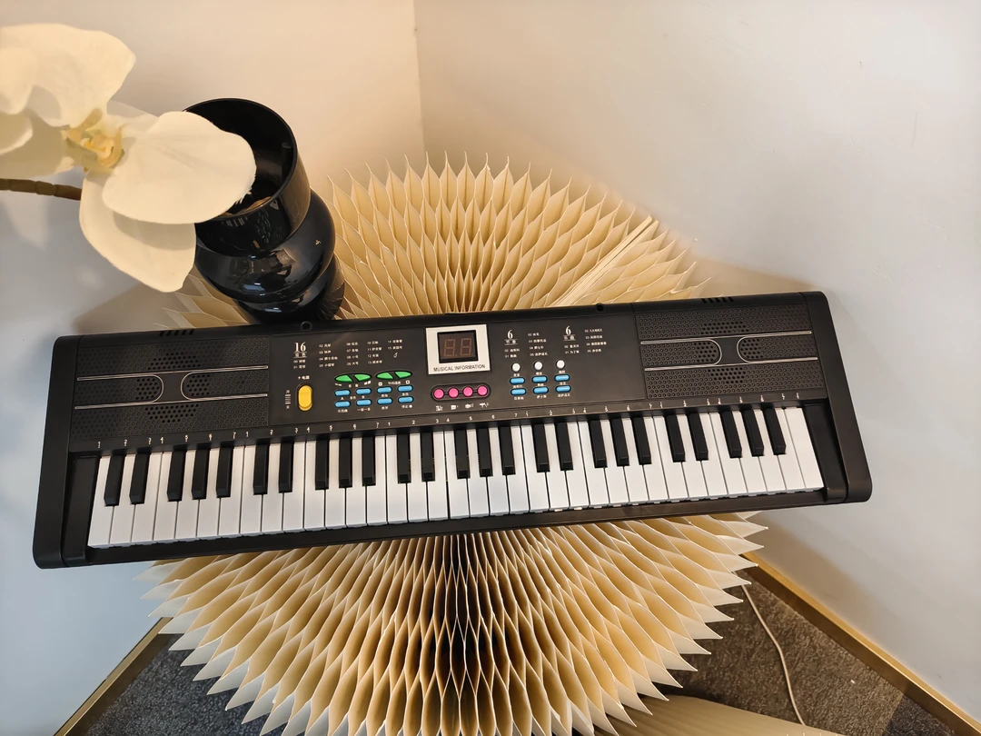 电子琴成人幼师专用初学电钢琴入门