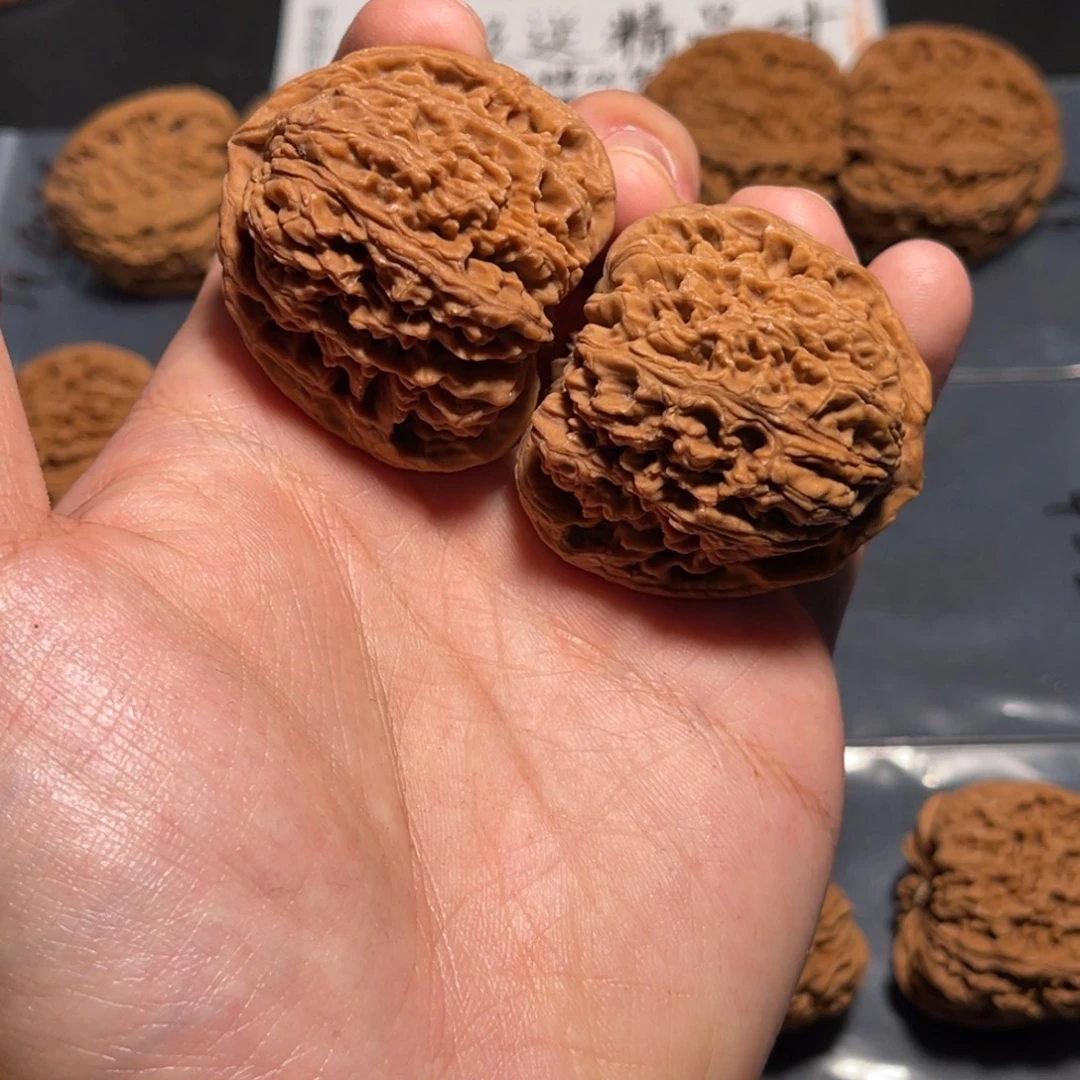 42全品涿鹿老树南疆无克差