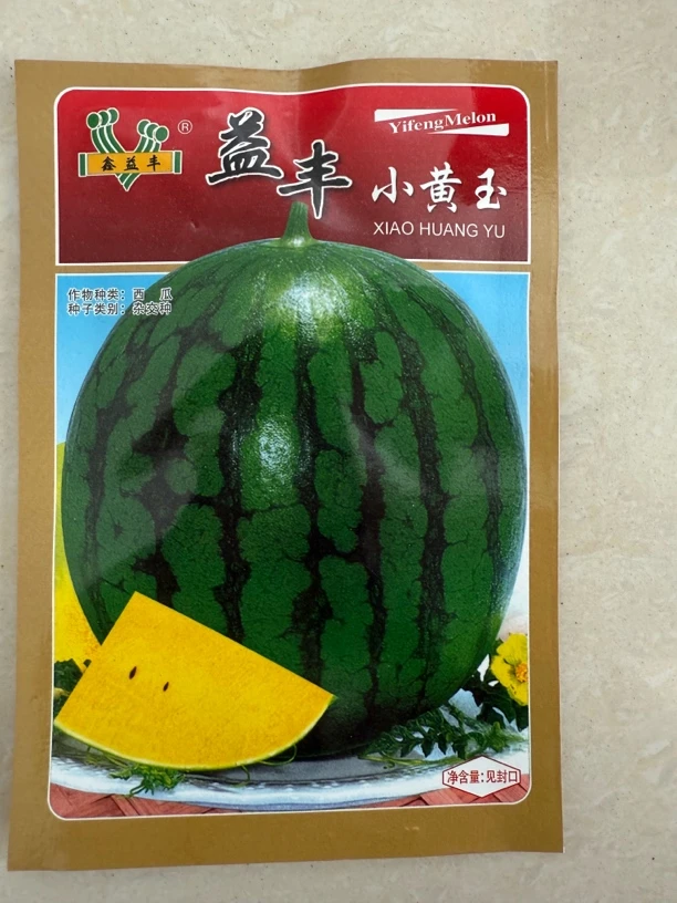 新疆阿瓦提黄壤西瓜种子抗病好