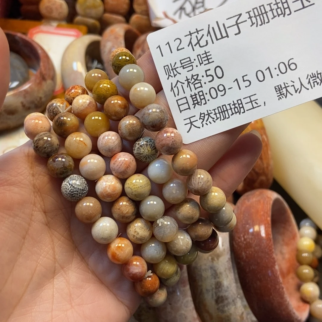 哇***未镶嵌硅化珊瑚（珊瑚玉）珠宝半成品112