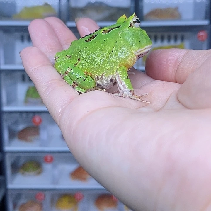 特价秒杀现货特价残