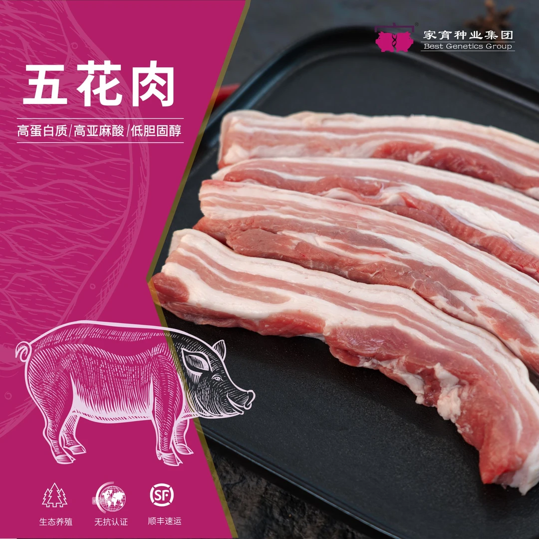 家育小黑豚 土猪 五花肉 350g*4