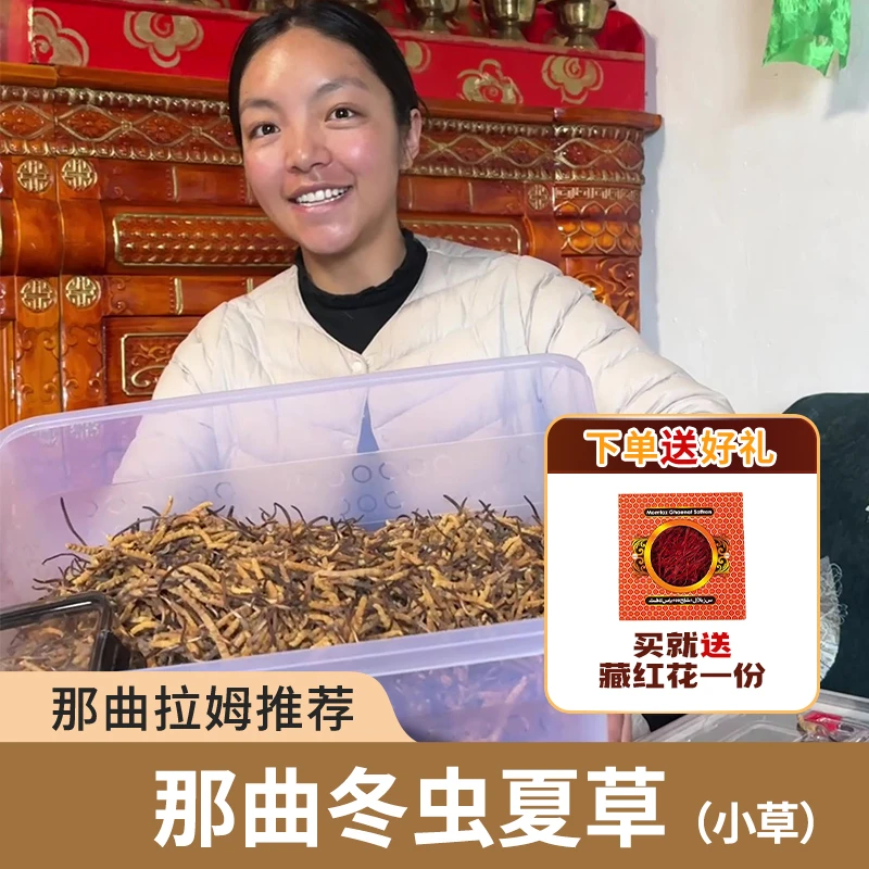 2025正宗那曲冬虫夏草头期干草小草