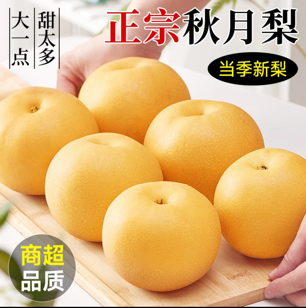 山东莱阳正宗秋月梨大果当季梨子新鲜水果整箱梨子脆甜多汁现摘