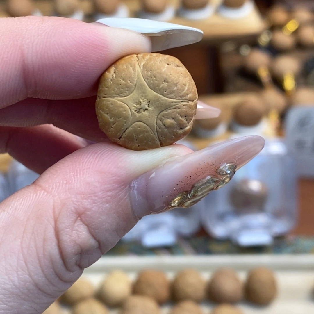 凤眼菩提吊坠17五星单颗