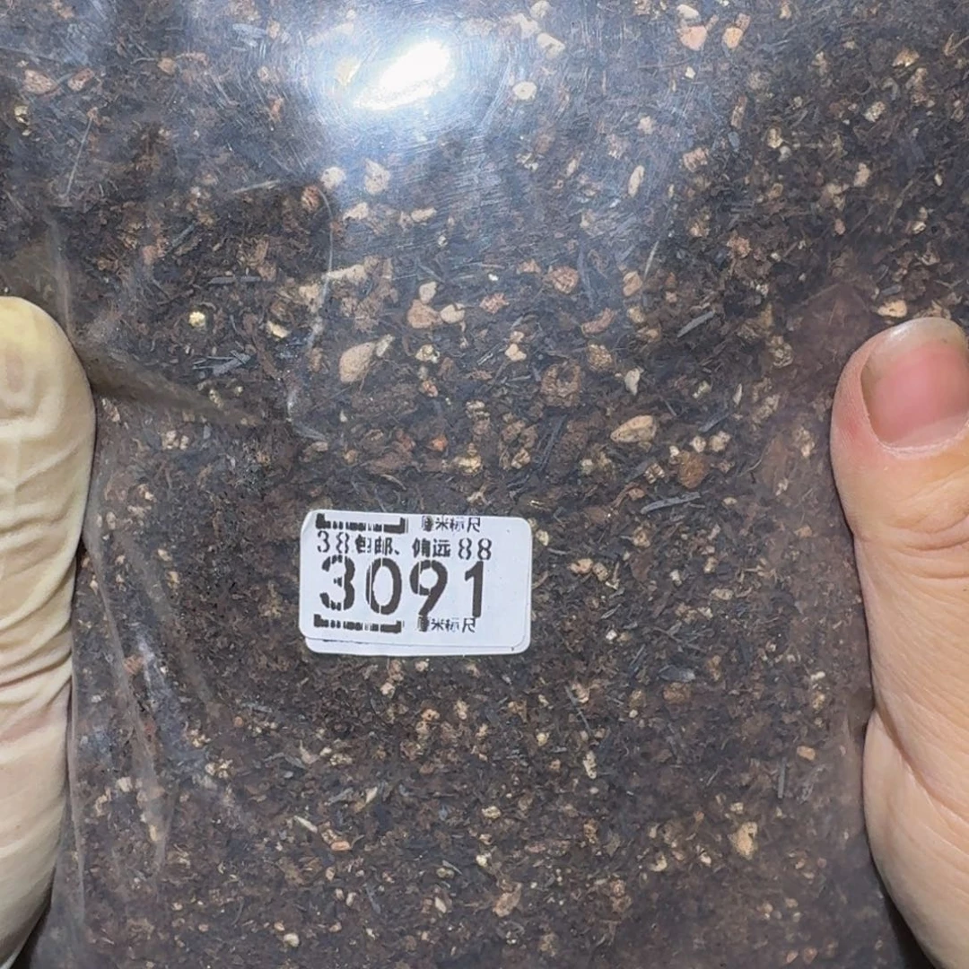 zzzzz精品生石花3091