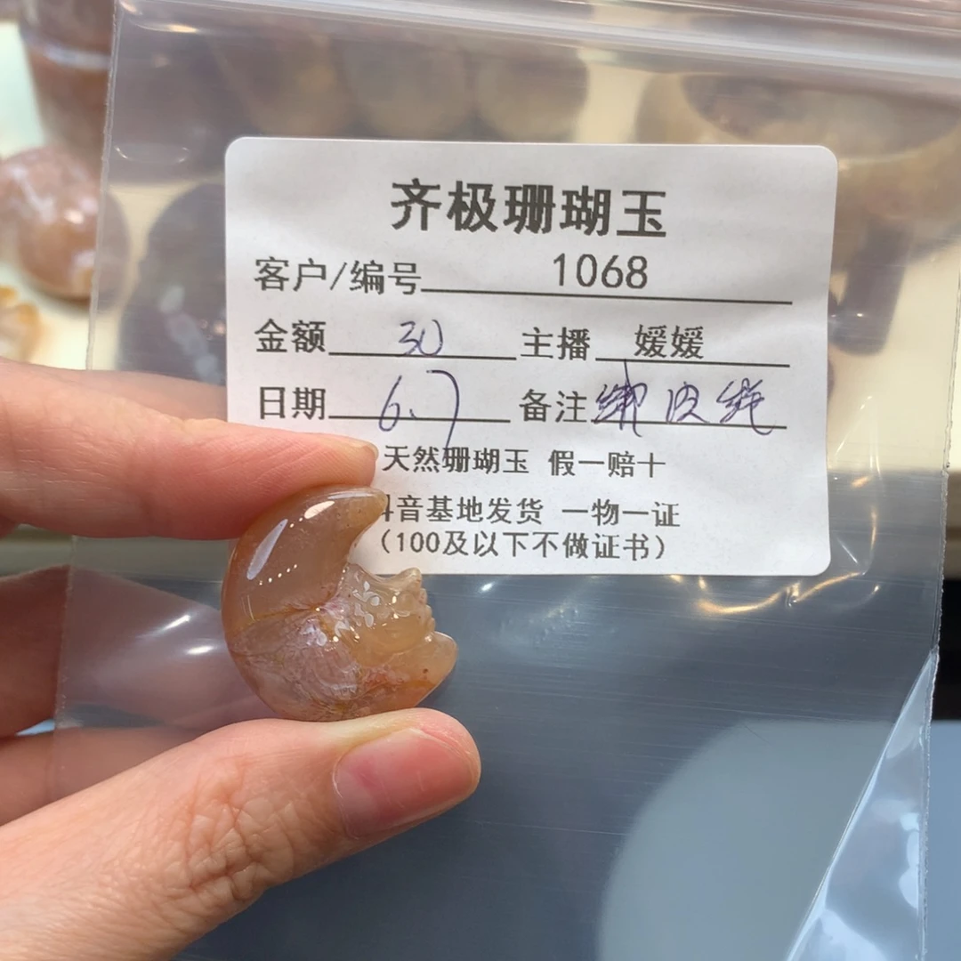 硅化珊瑚（珊瑚玉）未镶嵌颈饰星****拥