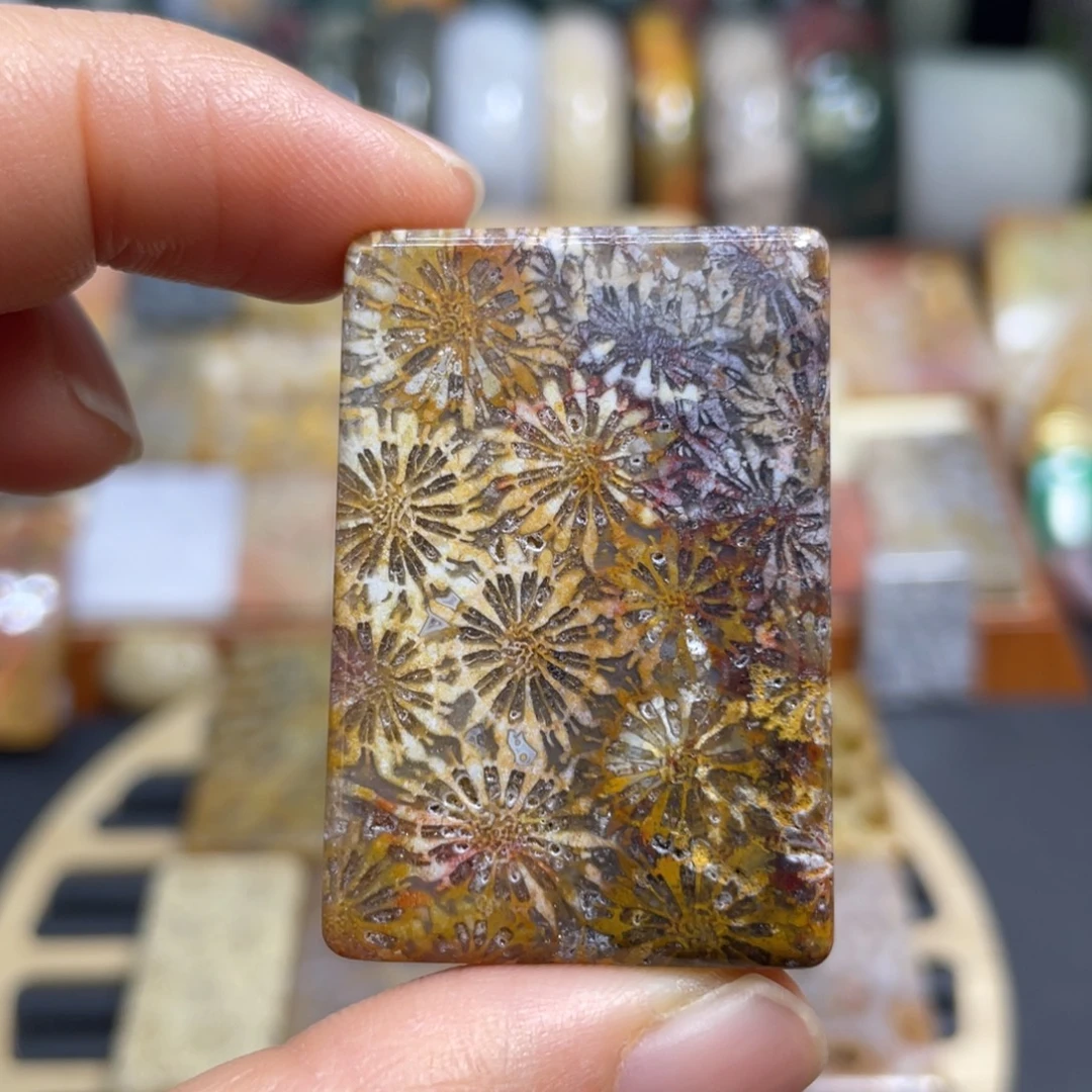 硅化玉未镶嵌颈饰k29