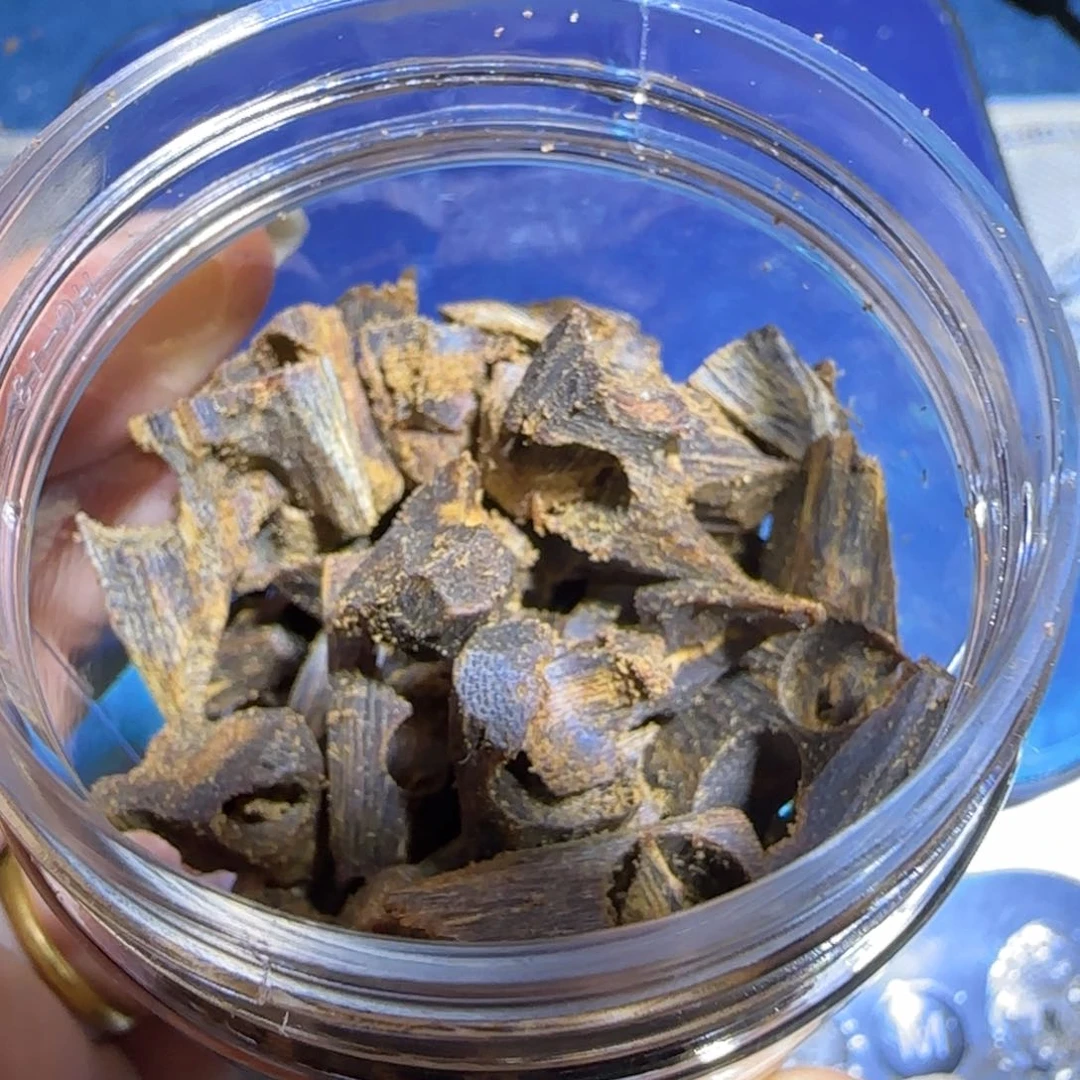 沉香碎屑沉香香脉沉水边角料20克